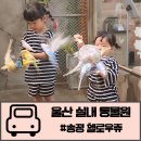송정동-8 | 울산 실내동물원 송정동 헬로우쥬 먹이 주기 체험 후기