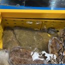 덕화상회 이미지