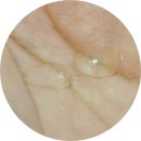 오드리 헤어 이미지