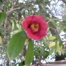 흑백세탁소 이미지