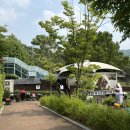 과천 : 융가비, 서울대공원 사자보이는 카페 /주말 후기
