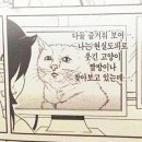 내일회계법인 이미지