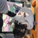 하준롯데백화점울산점 네이버블로그
