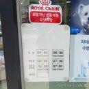 애플펫동물병원 | 오포읍 신현리동물병원 애플펫동물병원 가다.
