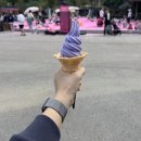 푸르름이 사는 곳