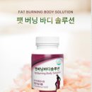 엘솔루션