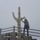 한라산약국 이미지