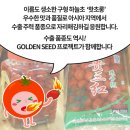 초롱식품