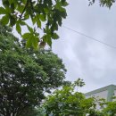 꿈의 그린 펜션 | [대성리 펜션 추천] 세월이 흘러도 변치 않는 우정, 삼삼이네 가족 MT 꿈에그린펜션 후기! 💖