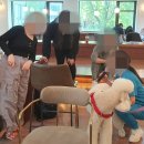 보람동물병원 이미지