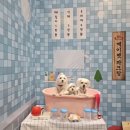 파크탕