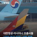 대한항공•아시아나항공 조종사 간 서열전쟁 이미지