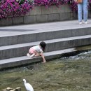 제7회 영등포 사진작가협회 회원전 및 제2회 영등포 사진 공모전 | [2026 국회초대전 작가를 만나다(42)] 니산 박영완 작가, '청계천의 어제와 오늘'로 역사의 도도한 흐름...