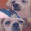 레어노트커피