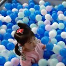 헬로방방장