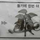 그림타이