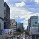 한류 행정사사무소 이미지