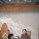 씨젤리피쉬 이미지