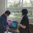 안나모자원 이미지