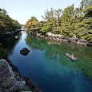 제주로와 이미지