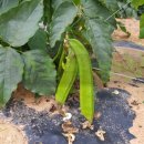 호생농장 이미지