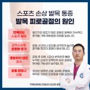 바로스포츠