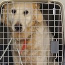 효성동물병원 이미지