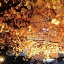 여수맛집 감도어부&루체오 이미지