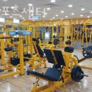 대우스포츠