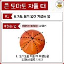cutting tomatoes 이미지
