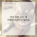 해답한의원 이미지