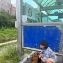 쉬고팡민박 | 양양,속초 여행 후기 (뚜벅뚜벅)