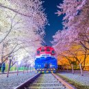 공설운동장(서편) 이미지