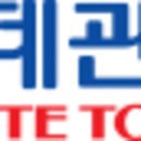 롯데관광주