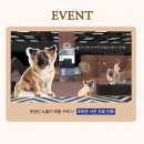 못생긴 노을이