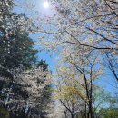 지리산쌍계한의원 이미지