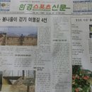 봄이오네 이미지