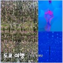 오르고플래닛 | [일본 도쿄 여행] 오다이바 갈만한 곳 "팀랩 플래닛" 위치 예약 팁 후기