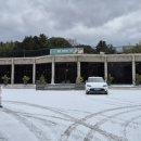 자연을 담은 제철 밥상 쿠킹 클래스 | 제주 원데이 클래스 어린 딸들과 애월 알제이 피자만들기, 감귤따기 체험 후기