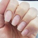 염창동주민센터 | 염창동 네일샵 [내스타일] 네일샵 겨울 자석네일 내돈내산 후기!!