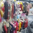 애견용품아울렛 이미지