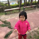 돌산공원 이미지