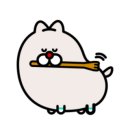 홍천자동차학원 이미지