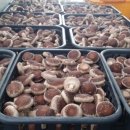 창선농장 이미지