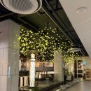 초원정육백화점 이미지