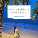 🏝 필리핀 보홀 여행기 2편 - ATM 환전방법, 졸리비주문, 네일아트, 반딧불 투어, 누엣타이(니니스파...
