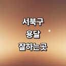 개인화물603 | 근처 화물용달 전문업체 추천 용달이사 잘하는곳 가격 후기 소형 침대 견적 렌트 운송 라보용달 대여