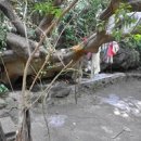 궁당경로당 이미지