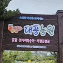 대풍농원 이미지