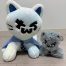 투냥 이미지